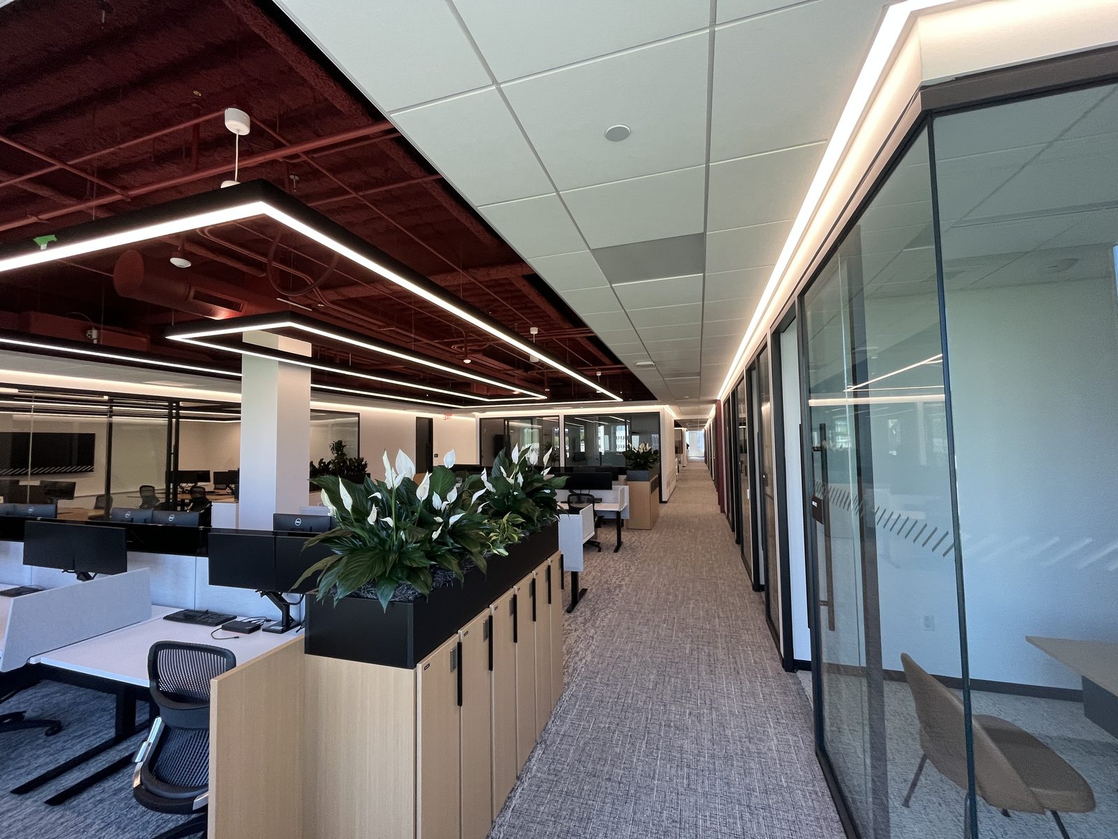 Glass-walled office corridor cleaned by CT Cleaners — corporate campus cleaning