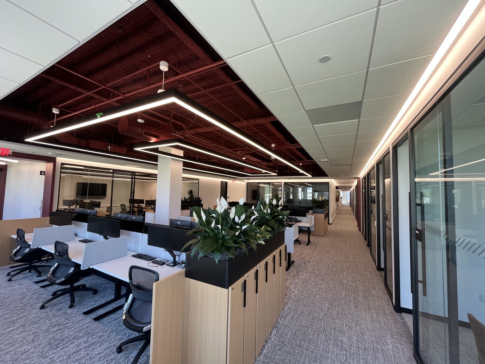 Open-plan office cleaned nightly by CT Cleaners — commercial office cleaning in Michigan